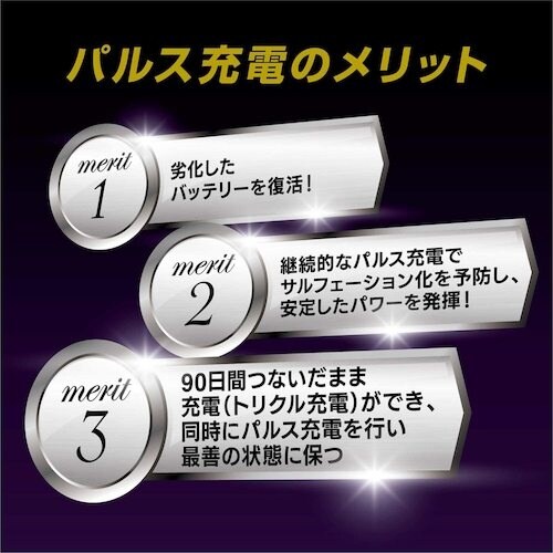 Meltec 全自動パルス充電器