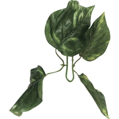 伝蔵 チェーンガーランド ポトス 中