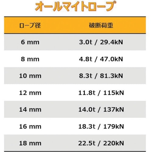 DAIKO オールマイトロープ HMPE 6mm×