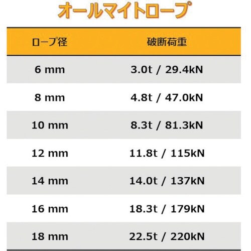 DAIKO オールマイトロープ HMPE 8mm×