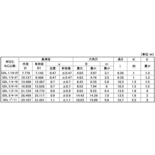 SUNCO ステンGOSHOプラグ NPTF(沈み