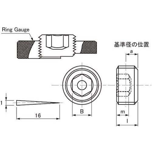 SUNCO クロメ−ト 阪村 プラグ(浮き SWC