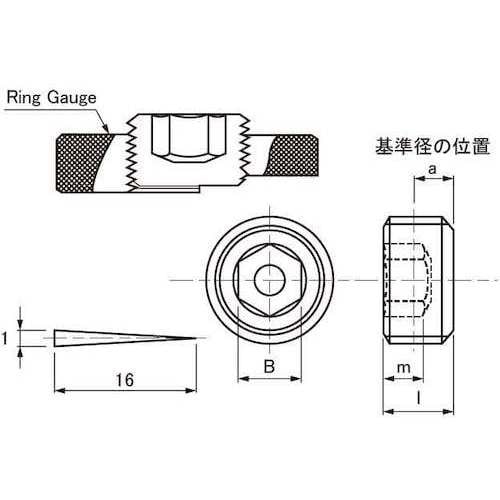 SUNCO 黒染 阪村 プラグ(浮き SWCH10
