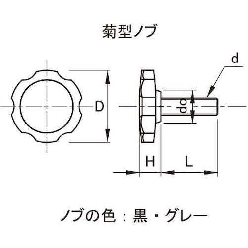 SUNCO ステンレス サムスクリュ−(全ネジ 菊