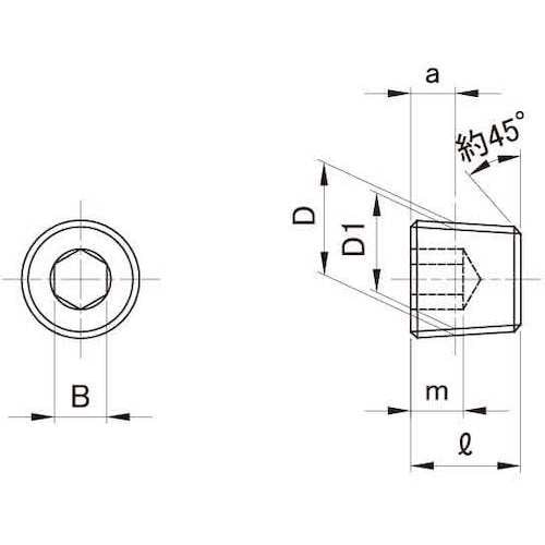 SUNCO GOSHOプラグ (マイクロ GPM