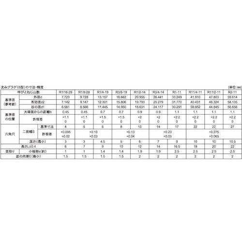 SUNCO SUS316L テーパープラグ 沈み