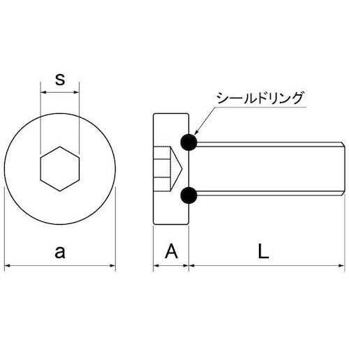 SUNCO ステンレス シールCAP 3×6 (1