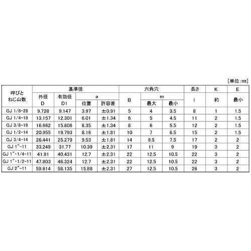 SUNCO SUS316L互省プラグ (浮き GJ