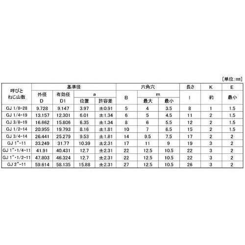 SUNCO SUS316L互省プラグ (浮き GJ