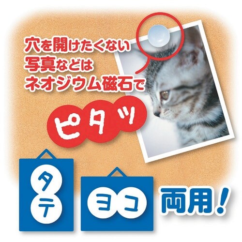 ASKA マグピンコルクボード 4L