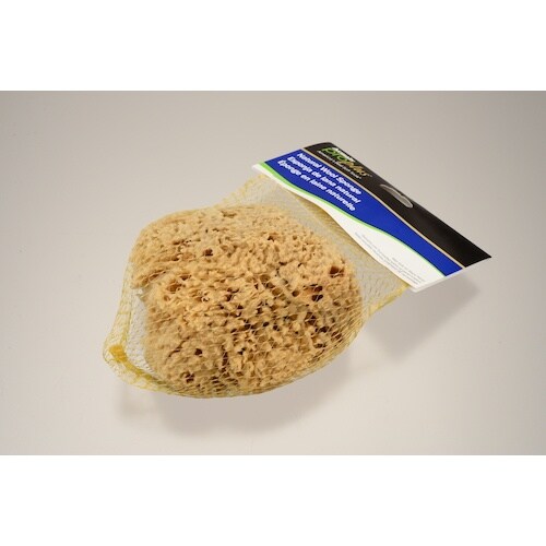 大塚 天然海綿 ハニコム種 Lサイズ