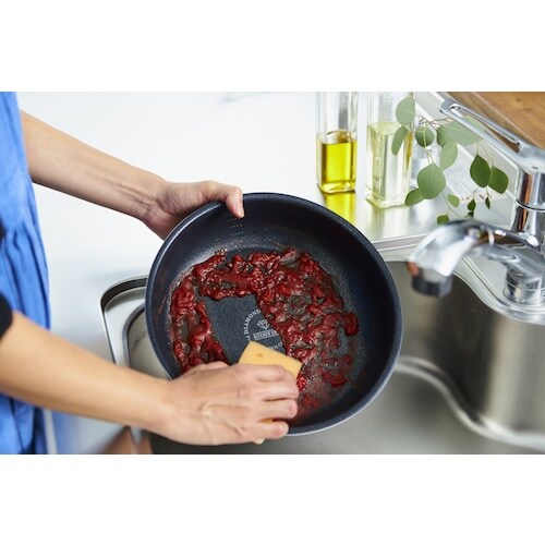 IRIS 537289 ダイヤモンドコートパンディ