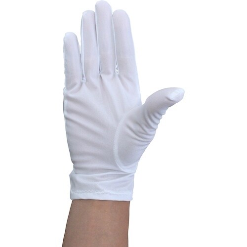 WINCESS 防塵手袋 (10双入り) LLサイ