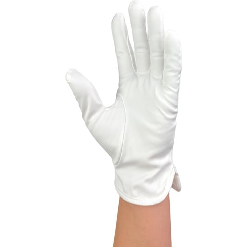 WINCESS マイクロファイバー手袋 (10双入