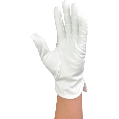 WINCESS マイクロファイバー手袋 (10双入