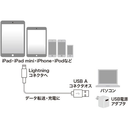 SANWA ライトニングケーブル