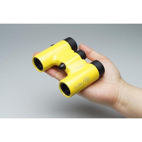 Kenko ultra VIEW H8倍21mm口