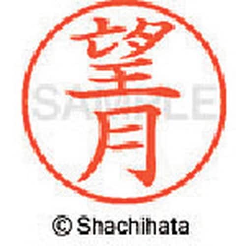 シヤチハタ ネーム9 既製 望月