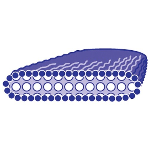 azuma コンポ化繊赤シダホーキ長柄 AZ184