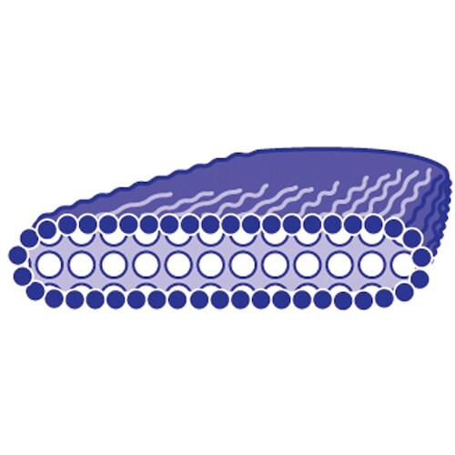 azuma コンポ化繊赤シダホーキ短柄 AZ185