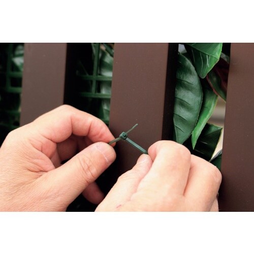 TASSCOM リアルグリーンフェンス レッドロビ