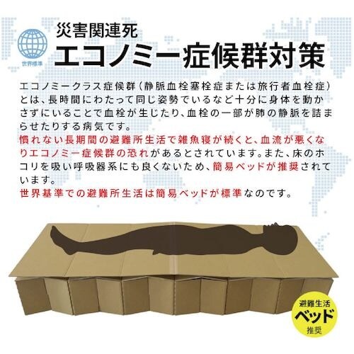 グリーンクロス BR−DA100ダンボール製ジャバ