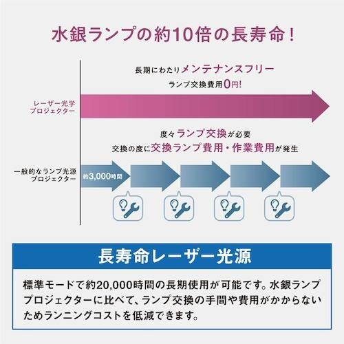 IRIS 100531 プロジェクター