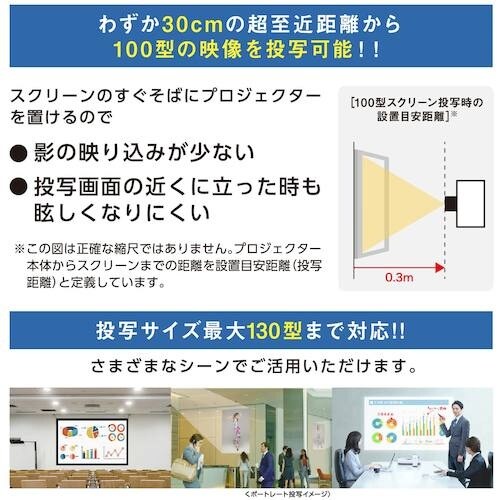 IRIS 100531 プロジェクター