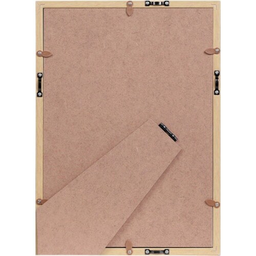 Kenko 1250337 ダイレクトフレーム ベ