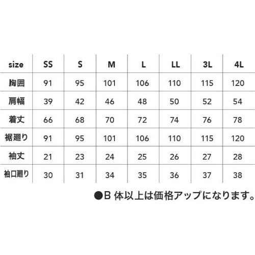 CHUSAN 半袖Tシャツ(ポケットなし)クロ3L