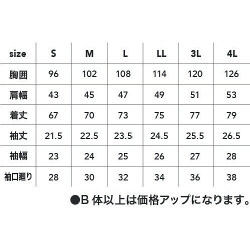 CHUSAN 半袖ラガーシャツクロLL