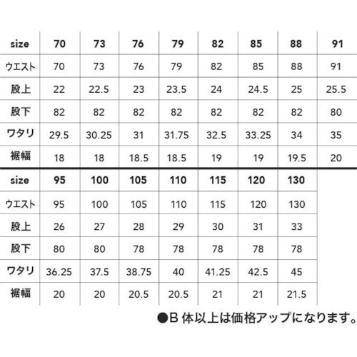 CHUSAN ドビーストレッチT/C メンズカーゴ