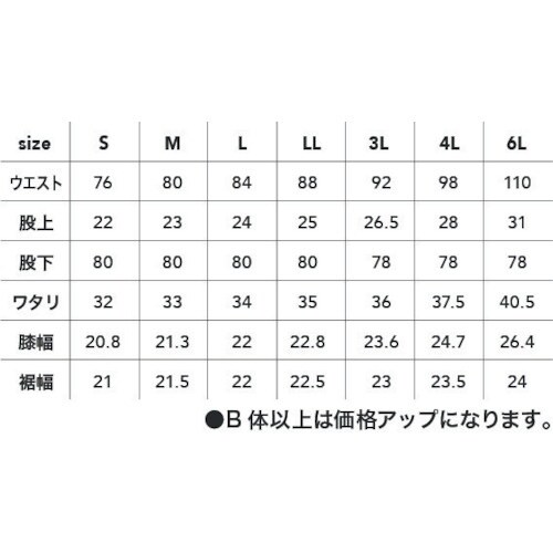 CHUSAN アクティブパンツ シルバー LL