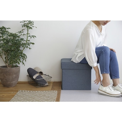 IRIS 529383 折りたたみ収納スツール レ