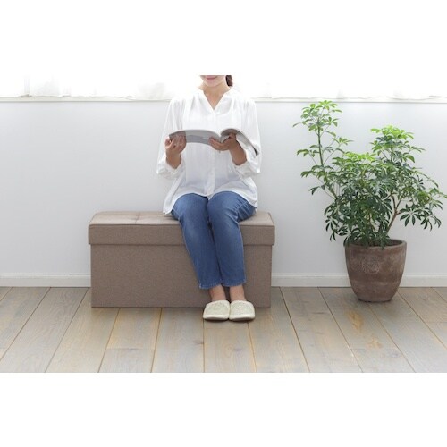 IRIS 529385 折りたたみ収納スツール ワ