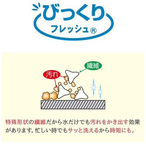サンコー びっくりトイレクリーナー