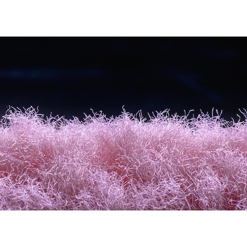 サンコー 業務用曲がるトイレクリーナー