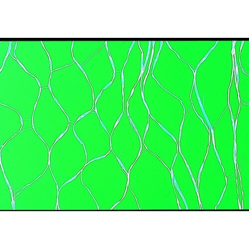 azuma NUS689エレキャッチスター45