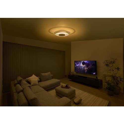 IRIS 538006 LEDシーリングライト 導