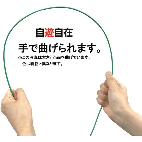 DAIDOHANT 自遊自在コイル カクタス 2.