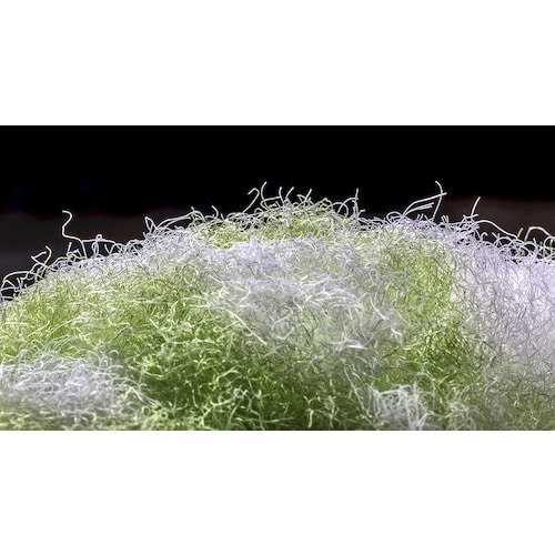 サンコー コーティング用トイレクリーナー グリーン