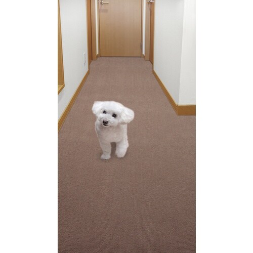 サンコー ペット用床保護マット 60×180cm