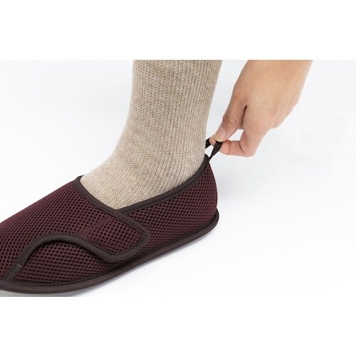 あゆみ 早快マジックレギュラー ワイン LL(25