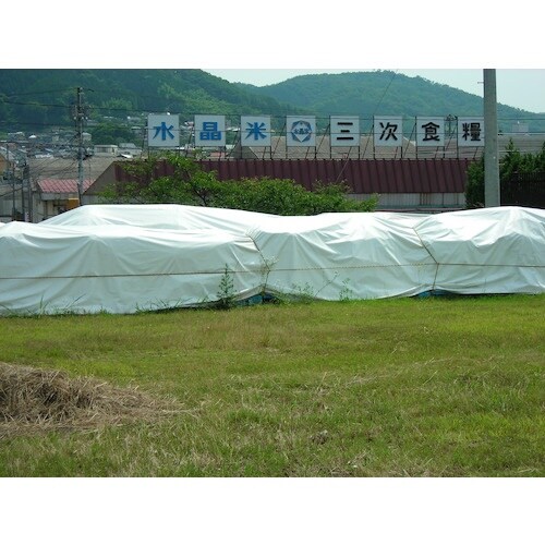 萩原 ホワイトクロス #2000(カラーシート)