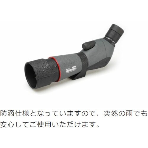 Kenko 147279 プロフィールドガイア傾斜