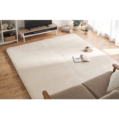 IRIS 101880 ラ・クッションラグ 低反発