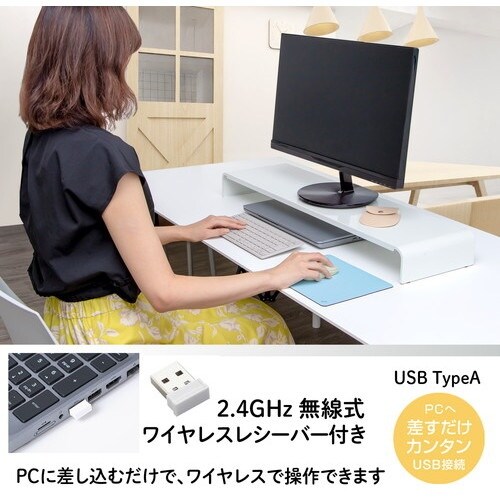 PLUS 428834)薄型持ちハコビマウス TW