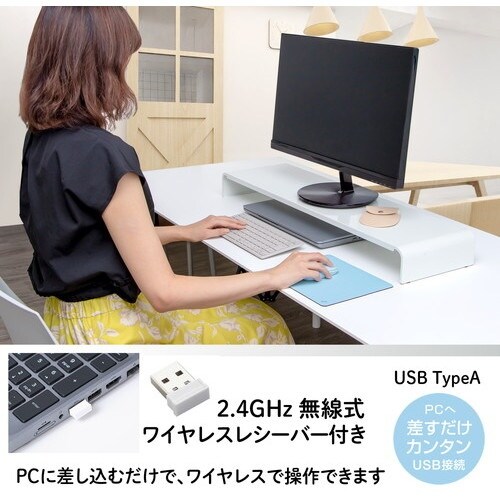 PLUS 428832)薄型持ちハコビマウス TW