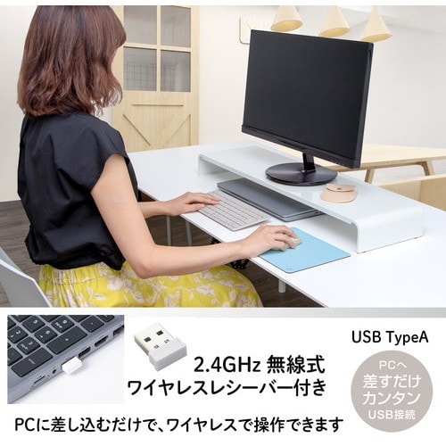 PLUS 428831)薄型持ちハコビマウス TW