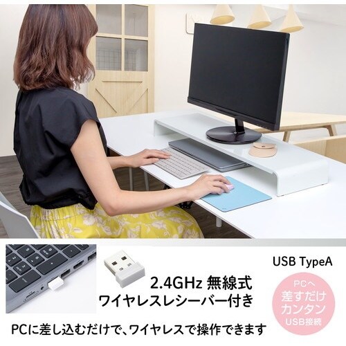 PLUS 428835)薄型持ちハコビマウス TW